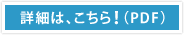ڍׂ́AiPDFj